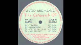 Acrid Abeyance  Tranquil Acid Techno 1993 [upl. by Anrol]