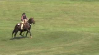 Extreme Trail Horse Challenge 2008 [upl. by Zollie]