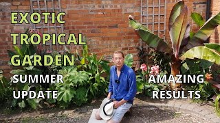 Exotic Tropical Garden Tour Banana Plants canna tetrapanax ginger crinum colocasia [upl. by Anelac890]