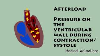 Preload VS Afterload [upl. by Winny]