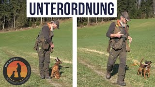 Training mit einem quotProblemhundquot  Tipps und Tricks zur Unterordnung  Hundeschule UB [upl. by Godred981]