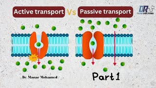 TUT physiology  part 1 Methods of transport  passive transport [upl. by Ennybor220]