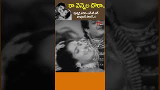 Ra Vennela Dora Song  రా వెన్నెలదొరాNTR KRVijaya Lakshmi katakshami Movie Short Youtubeshorts [upl. by Maisie492]