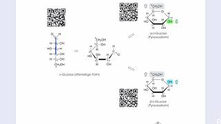 Unterschied zwischen ɑ und βDGlucose [upl. by Ianahs]