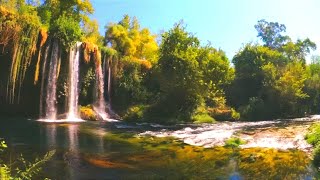 Meditation with Nature  🏞️ nature maditation yogamusic [upl. by Dugald]