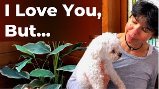 Rehoming Your Dog Coping With Guilt amp Grief When You Have to Give Your Dog Away [upl. by Nancy]