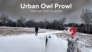 Colorado Urban Owl Prowl  One Last Surprise of 2023 [upl. by Iznyl]