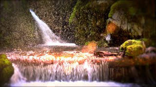 Study Hack  Waterfall White Noise for Focus while Studying  10 Hours [upl. by Bezanson953]