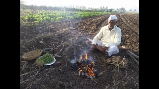 चुलीत भाजलेल दोन प्रकारचे झणझणीत वांगेचे भरीत tatyacha mala [upl. by Honora]