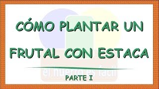 Como plantar frutales con estacas parte I [upl. by Snow751]