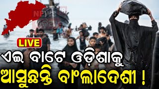 ବାଂଲାଦେଶ ଅଶାନ୍ତ ଓଡ଼ିଶାରେ ସଙ୍କଟ Bangladesh Crisis Impact On OdishaBangladesh News  Odia NewsN18G [upl. by Laroy]