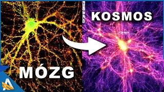 Wszechświat jest podobny do mózgu Co mówią naukowcy  AstroFaza [upl. by Yrgoerg343]