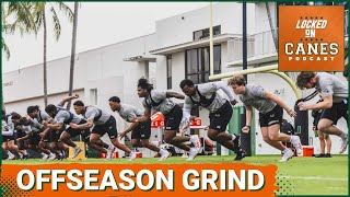 Which Miami Hurricanes Are Standing Out In Offseason Workouts Former Canes At Senior Bowl [upl. by Gerhardt]