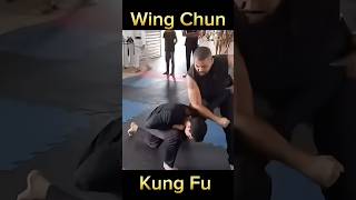 Wing Chun Techniques artemarcial mma boxing wingchun kungfu ufc defesapessoal selfdefence [upl. by Stephania532]