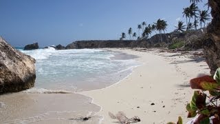 Beaches of Barbados [upl. by Lilybel]