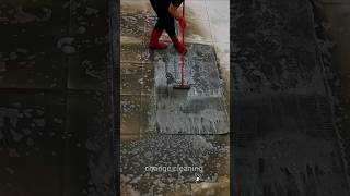 Deep Cleaning cleaningcarpet cleaningvideos satisfying asmr [upl. by Auohp]