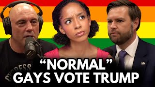 JD Vance OFFENDS The LGBTQ Community With This Statement [upl. by Maynord660]