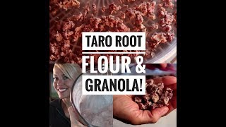 How to make Taro Flour and AIP Granola [upl. by Ahserkal]