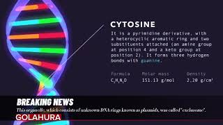 This organelle which consists of unknown DNA rings known as plasmids was called quotexclusomequot [upl. by Tsirc]