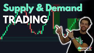 Hoe Werkt Supply en Demand Trading  Trading Podcast  Ep 70 [upl. by Alric]