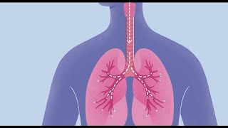 How COVID19 Affects Your Lungs [upl. by Howarth]