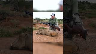 🐖 Warthog Hunting with Bigbore Airgun💥 [upl. by Htur590]