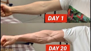 Vascular Forearms in Only 20 Days [upl. by Siroval834]