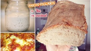 LIEVITO MADRE per PANE Fatto in casa Pizza Taralli • Ricetta di Pakitopiccante [upl. by Nodnalb]