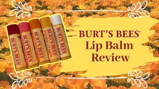 Burts Bees Lip Balm review  Vlogmas 2018 Day 11 [upl. by Mayne182]