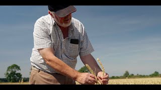 ADM’s Regenerative Agriculture Program on Home Farm in Staffordshire UK [upl. by Grimaud]