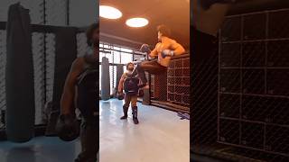 Roman Reigns Vs Tiger🔥 Shroff shorts​ wwe​ a2z26​ manojdey​ respect​ roman​ reings status [upl. by Xantha286]