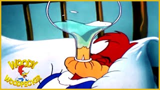 Woody Woodpecker  Sleep Well  Woody Woodpecker Full Episode  Old Cartoons  Kids Movie [upl. by Wiebmer]