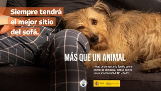 🐶 Campaña Empatía Animal más que un animal  Euskera [upl. by Neraj]