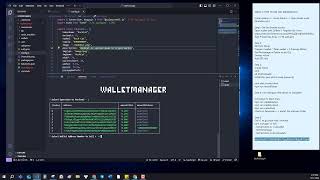 DemoVideo Jito Bundler for Solana From Customer [upl. by Llennyl]