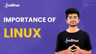 Importance Of Linux  Why Linux Is Used In Cyber Security Field  Linux In Ethical Hacking [upl. by Hsekar]