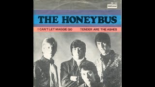 The Honeybus  I Cant Let Maggie Go [upl. by Tudela]