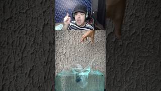 boia ou afunda rs pt2 boiaouafunda humor react anaochave objetos [upl. by Nylleoj]