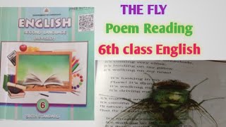 The Fly Poem Reading 6th class English [upl. by Nenney102]