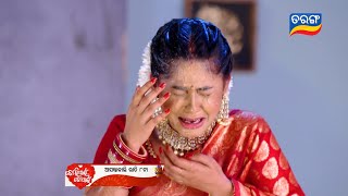 tori pain to pain tori pain to pain today tarang megha serial tarang tv May 122024 [upl. by Peppard]