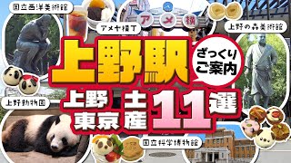 【2024年】上野駅お土産11選！上野動物園・国立科学博物館・アメ横などへの行き方もご案内！可愛いパンダのおみやげがオススメ【上野・東京土産】 [upl. by Rubi]