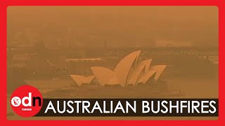 Australia Ravaged by Intense Bushfires [upl. by Ylatfen3]