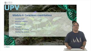 MOOC Introducción a la genética vegetal  117  UPV [upl. by Beare414]