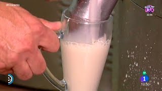 Así se hace la horchata en Alboraya  Valencia  Rincones de España  España Directo [upl. by Epifano464]