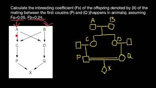 How to Calculate Inbreeding from Pedigrees [upl. by Enoek]