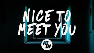 Seeb  Nice To Meet You Lyrics  Lyric Video ft Goodito Frito [upl. by Suoicserp]