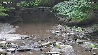 Forested Creek Crossing  Forestville New York USA [upl. by Idnil]