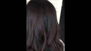 Sunkissed Chocolate Balayage [upl. by Allissa]