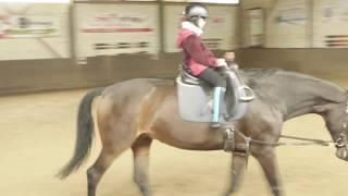 Bielefeld Reitverein Reitschule  Voltigierverein Vilsendorf eV [upl. by Erual]