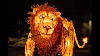 Lion Lantern Puppet [upl. by Artus]