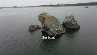 Toad rock [upl. by Omrellig]